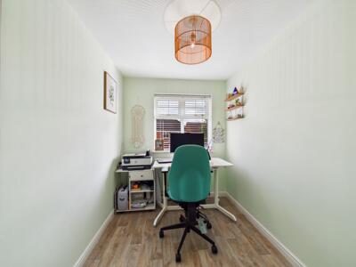 Picture 11